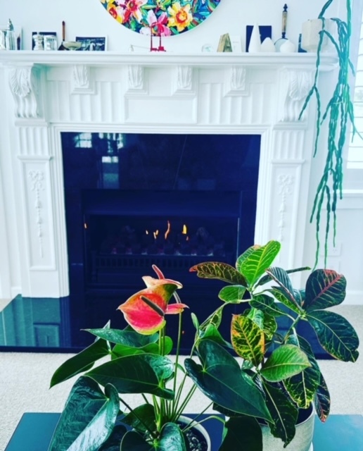 Gas fire in lounge with plant on coffee table